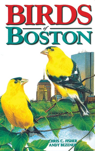 Chris Fisher, Andy Bezener - Birds of Boston, Häftad