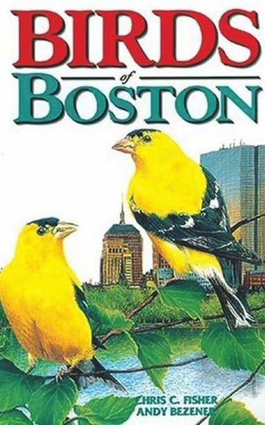 bokomslag Birds of Boston