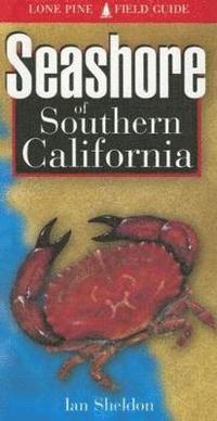 bokomslag Seashore of Southern California