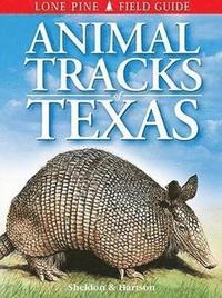 bokomslag Animal Tracks of Texas