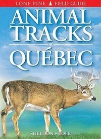 bokomslag Animal Tracks of Quebec