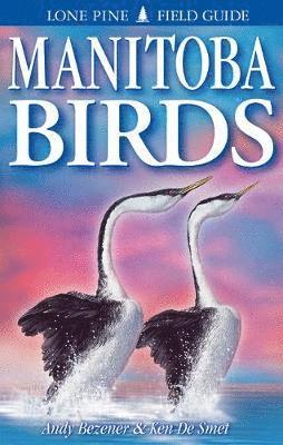 Manitoba Birds