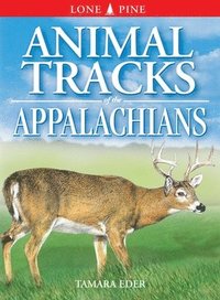 bokomslag Animal Tracks of the Appalachians