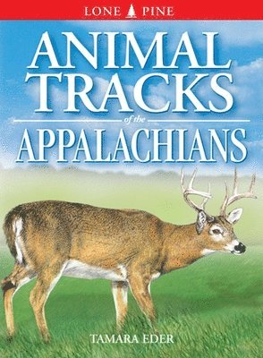 Animal Tracks of the Appalachians 1