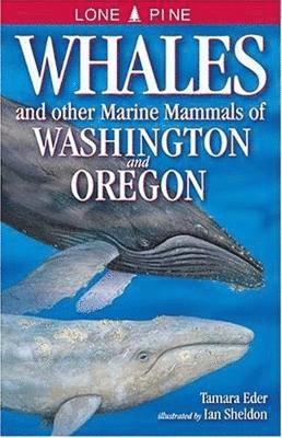 Whales and Other Marine Mammals of Washington and Oregon