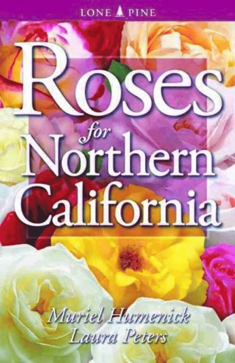 Roses for Northern California