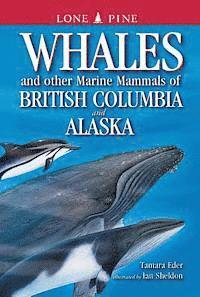 Whales and Other Marine Mammals of British Columbia and Alaska