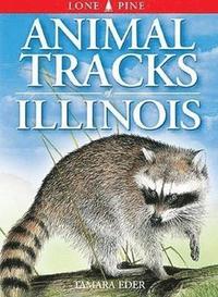 bokomslag Animal Tracks of Illinois
