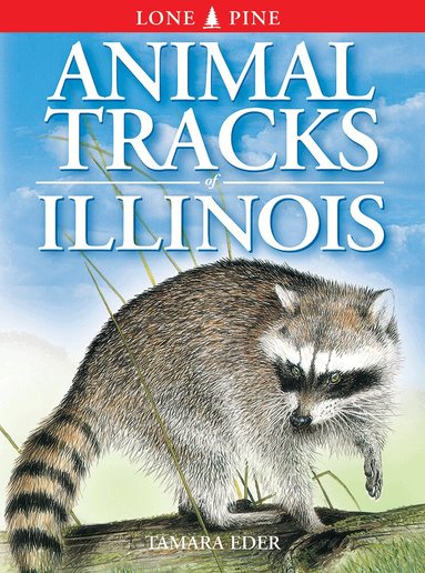 Tamara Eder - Animal Tracks of Illinois, Häftad