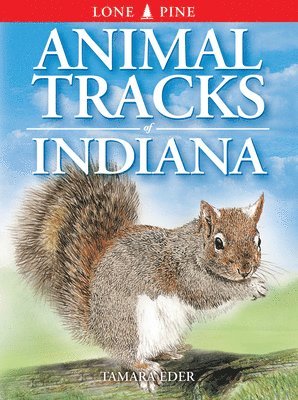 bokomslag Animal Tracks of Indiana