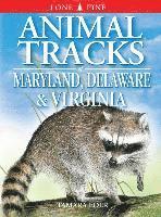 Animal Tracks of Maryland, Delaware and Virginia