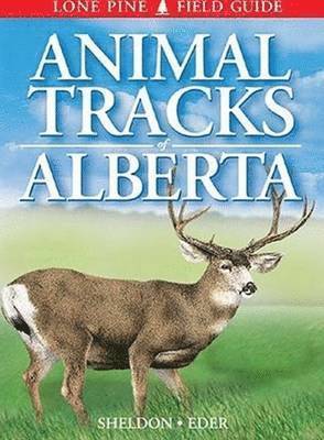Ian Sheldon, Tamara Eder - Animal Tracks of Alberta, Häftad