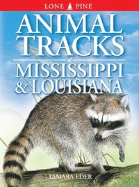 bokomslag Animal Tracks of Mississippi and Louisiana