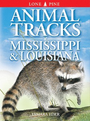 Animal Tracks of Mississippi and Louisiana 1