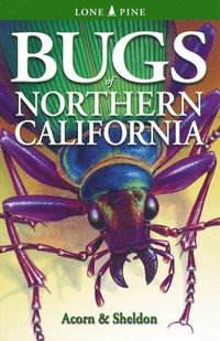 bokomslag Bugs of Northern California