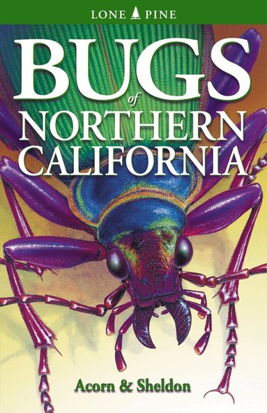 John Acorn, Volker Bodegom - Bugs of Northern California, Häftad