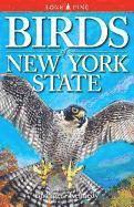 Birds of New York State
