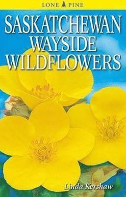 Saskatchewan Wayside Wildflowers
