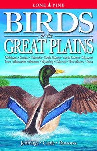 bokomslag Birds of the Great Plains