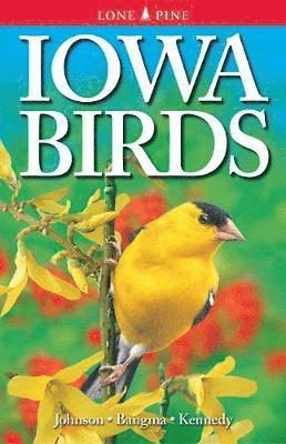 Iowa Birds