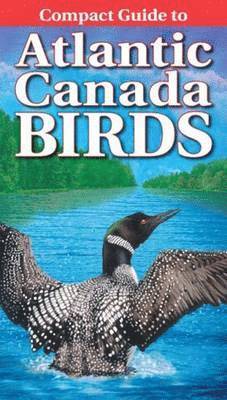 Compact Guide to Atlantic Canada Birds