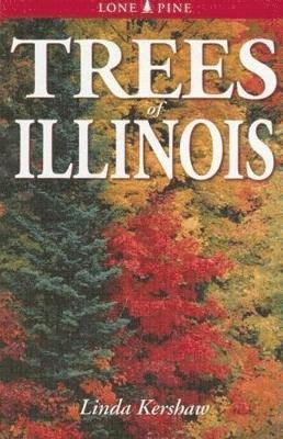 bokomslag Trees of Illinois: Including Tall Shrubs