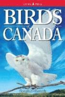 Birds of Canada