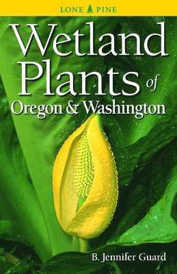 bokomslag Wetland Plants of Oregon & Washington
