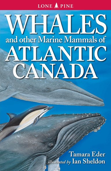 Tamara Eder - Whales and Other Marine Mammals of Atlantic Canada, Häftad