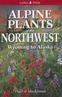 bokomslag Alpine Plants of the Northwest: Wyoming to Alaska