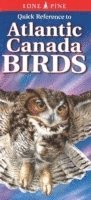 bokomslag Quick Reference to Atlantic Canada Birds