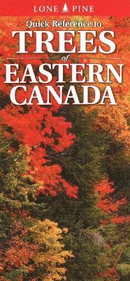 Quick Reference to Trees of Eastern Canada 1
