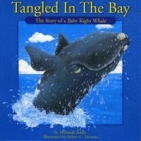 Tangled in the Bay 1