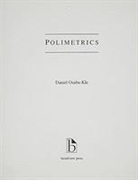 bokomslag An Introduction to Polimetrics