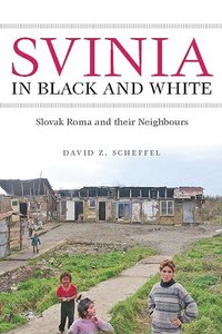 bokomslag Svinia in Black and White
