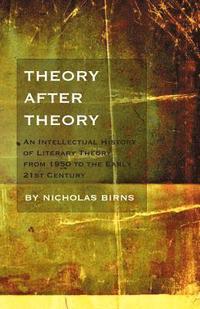 bokomslag Theory After Theory
