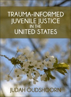 Judah Oudshoorn - Trauma-Informed Juvenile Justice in the United States, Häftad