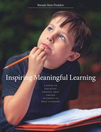 bokomslag Inspiring Meaningful Learning