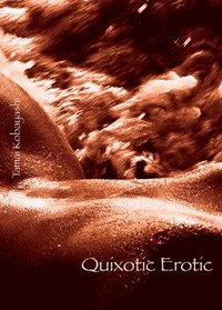 bokomslag Quixotic Erotic