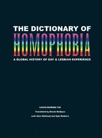 bokomslag The Dictionary Of Homophobia