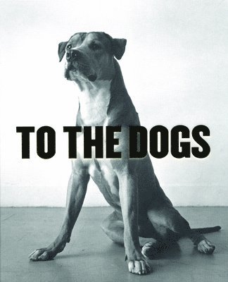 To The Dogs 1