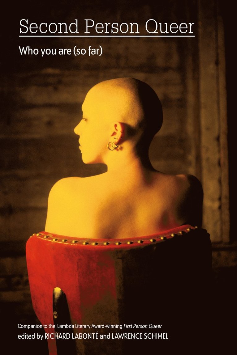 Lawrence Schimel, Richard Labonte, Richard Labonté, Lawrence Schimel - Second Person Queer, Häftad