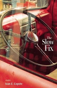 bokomslag The Slow Fix