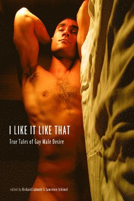 Lawrence Schimel, Richard Labonte, Lawrence Schimel, Richard Labonté - I Like it Like That, Häftad