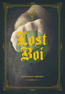 bokomslag Lost Boi
