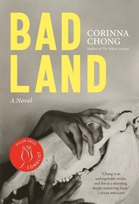 bokomslag Bad Land