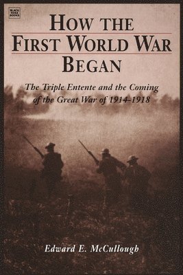 How the First World War Began