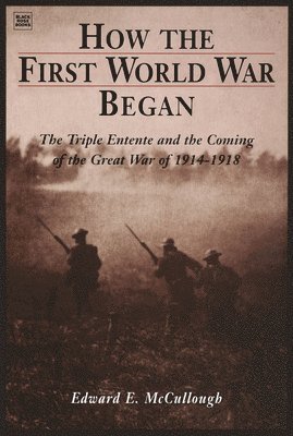 How the First World War Began 1
