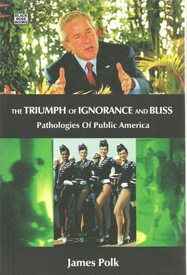 bokomslag Triumph Of Ignorance And Bliss - Pathologies of Public America