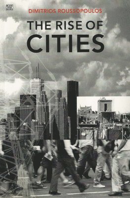 bokomslag Rise Of Cities
